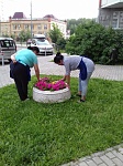 ул.Пионерская д.30 к.5 прополка клумб