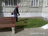 ул. Пионерская д.30 корп.5 - покос травы на придомовой территории (внутренний двор)