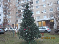пр-т Космонавтов, д.3а - на придомовой территории установлена и украшена елочка