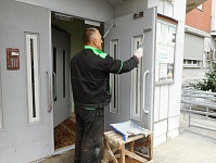 Окраска дверей входных групп д. 30 корп.6 по ул. Пионерской 