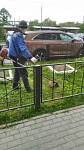 ул. Пионерская д.30к.9- покос травы
