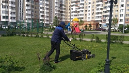 ул. Пионерская д.30к.5- покос травы