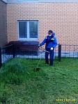 ул. Пионерская д.30к.13- покос травы