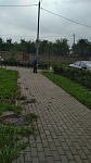 ул Пионерская, д.30 корпус 6- покос травы