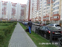 ул. Пионерская, д.30, корпуса 5,6 - покос и уборка травы