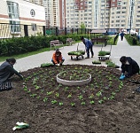 ул. Пионерская, д.30 к.8-устройство клумбы