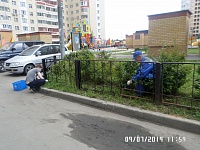 Окраска металлического ограждения детской площадки у дома 30 корп. 8 по ул. Пионерской