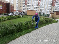 Обрезка кустов у детской площадки
