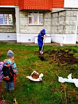 ул. Пионерская д.30к.6- посадка деревьев