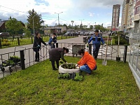 ул. Пионерская, д.30 к.9 - высаживаем цветы в вазоны