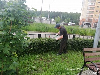 Кронирование кустарника, покос травы ул. Пионерская, д.30 к.6