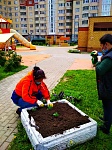 ул. Пионерская д.30 к.8- посадка цветов