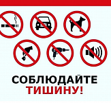 Закон о тишине